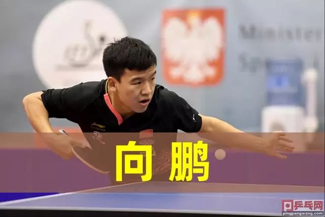 回到 回到